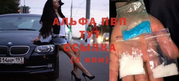 прущие крисы Верея