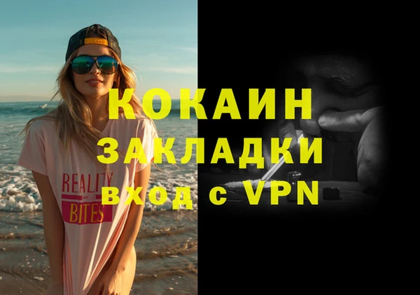 шишки Верхний Тагил