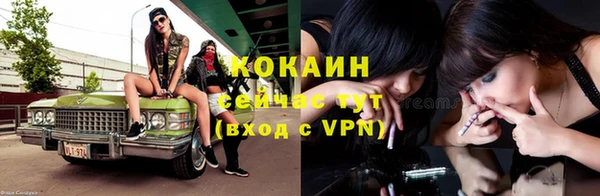 прущие крисы Верея
