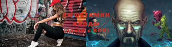шишки Верхний Тагил