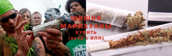шишки Михайловка