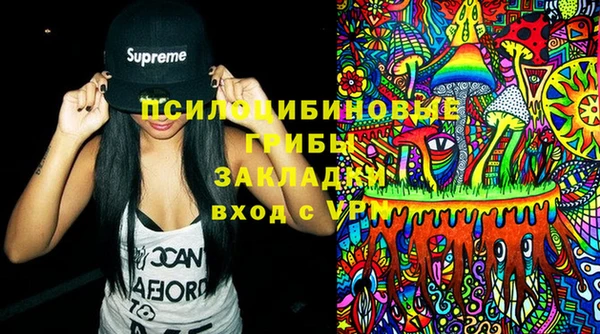 мдма Медвежьегорск
