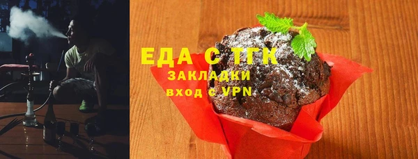 шишки Верхний Тагил