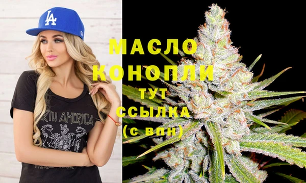 шишки Верхний Тагил
